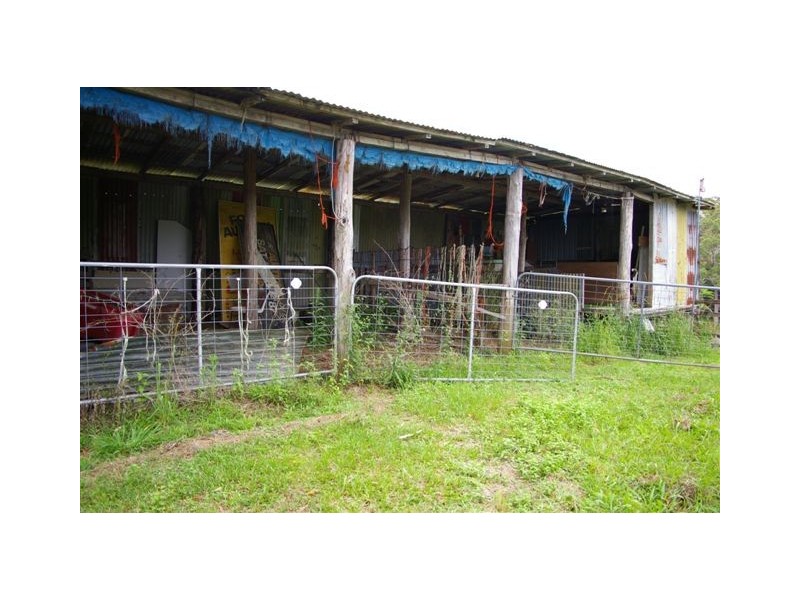 Newee Creek NSW 2447