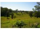 Newee Creek NSW 2447