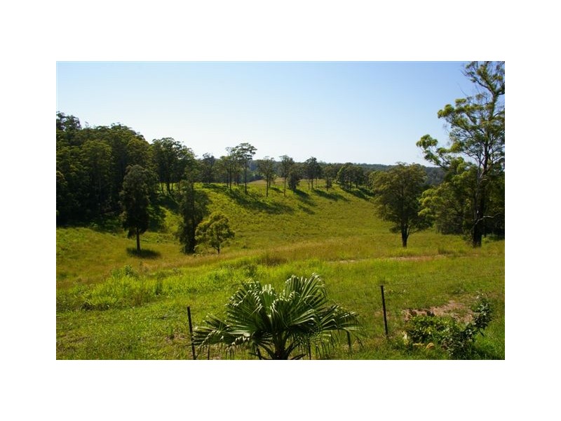 Newee Creek NSW 2447