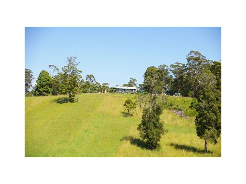 Newee Creek NSW 2447
