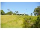Newee Creek NSW 2447