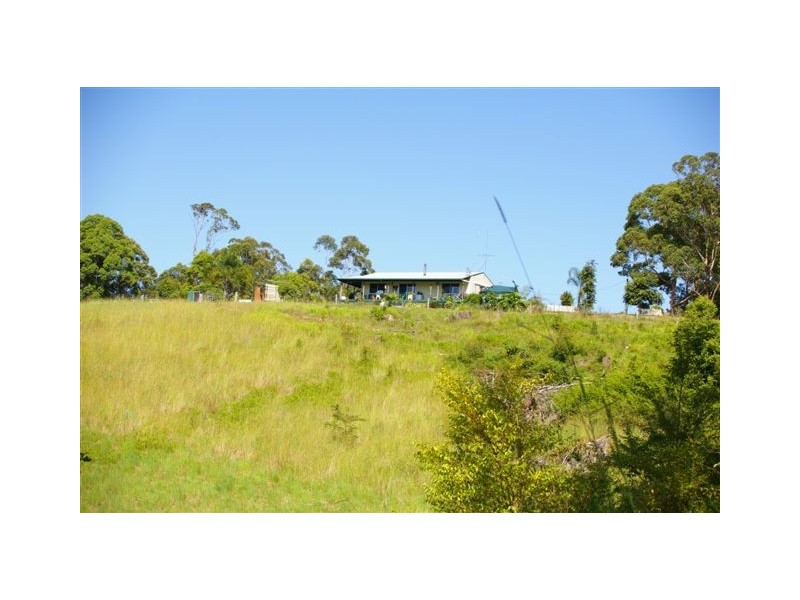 Newee Creek NSW 2447