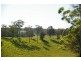 Newee Creek NSW 2447