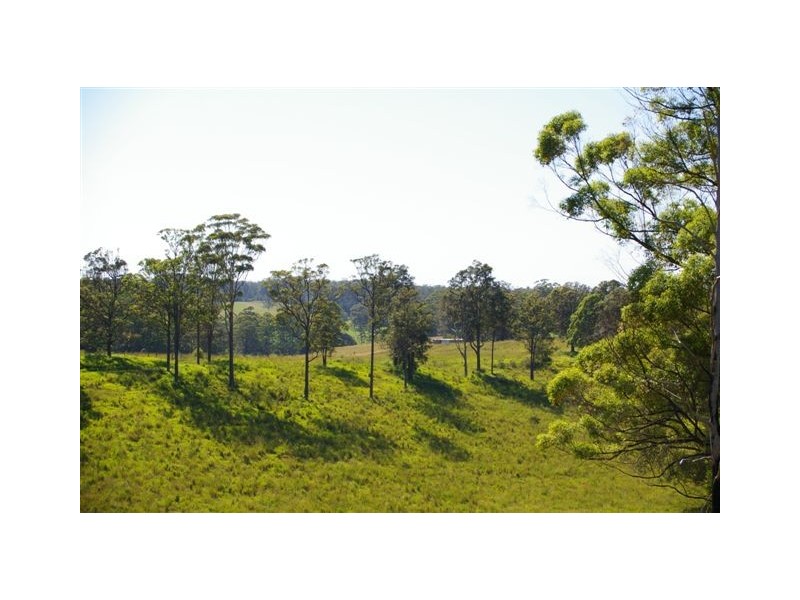 Newee Creek NSW 2447