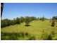 Newee Creek NSW 2447