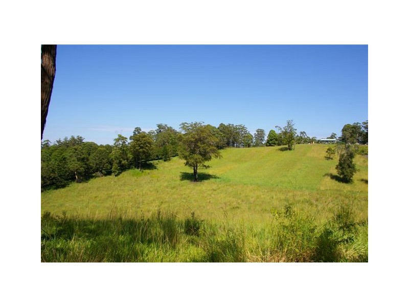 Newee Creek NSW 2447