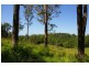 Newee Creek NSW 2447