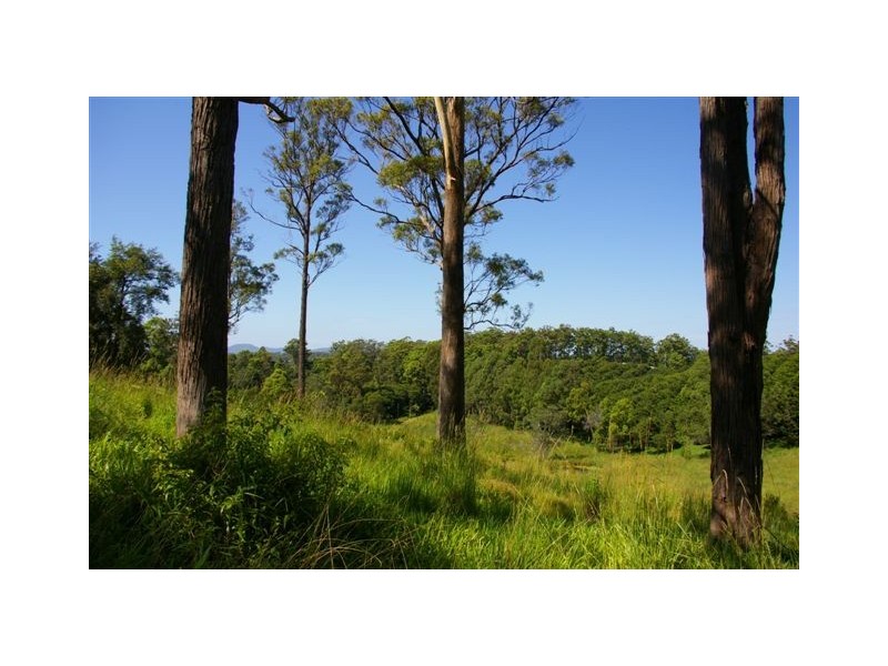 Newee Creek NSW 2447