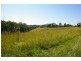 Newee Creek NSW 2447