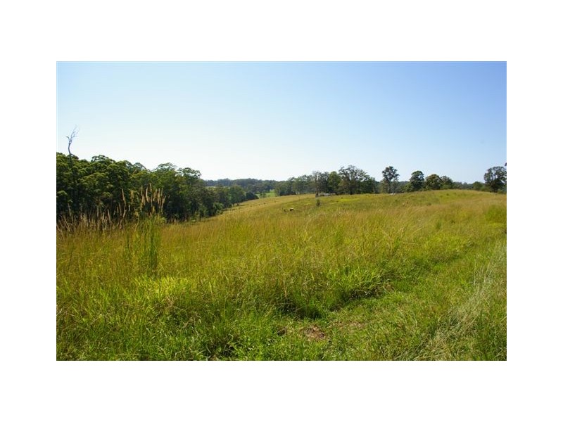 Newee Creek NSW 2447