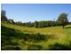 Newee Creek NSW 2447