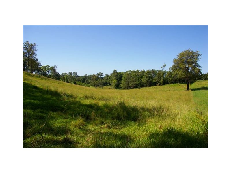 Newee Creek NSW 2447