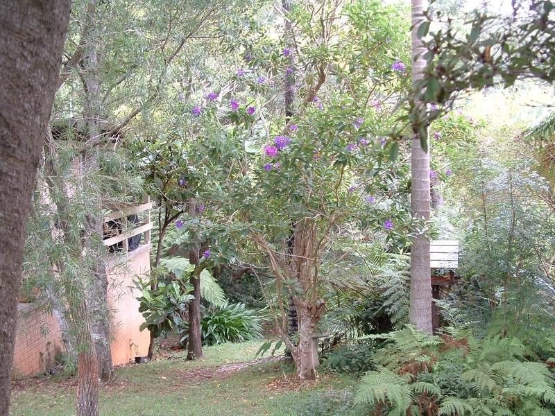 5 Lackey Street, Nambucca Heads NSW 2448