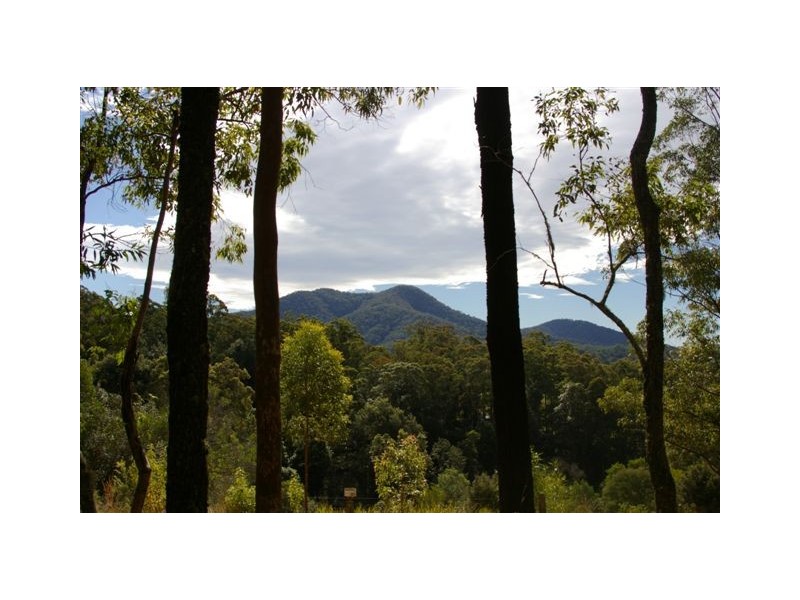 Lot 4, Lot 4 Kosekei Road, Yarranbella NSW 2447
