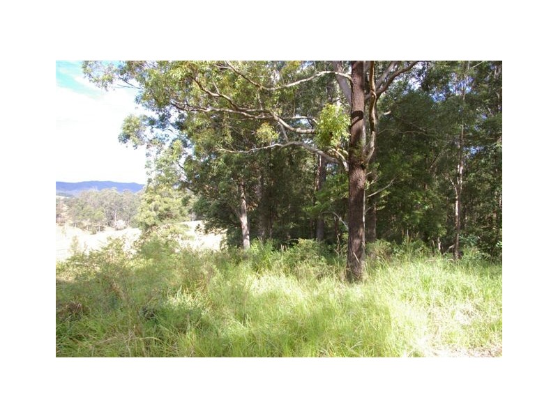 Lot 4, Lot 4 Kosekei Road, Yarranbella NSW 2447