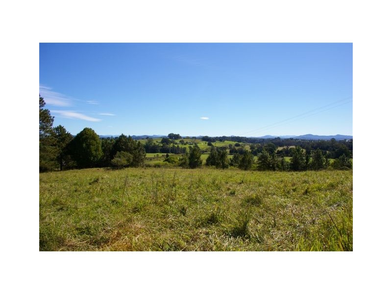 41 Albert Drive, Macksville NSW 2447