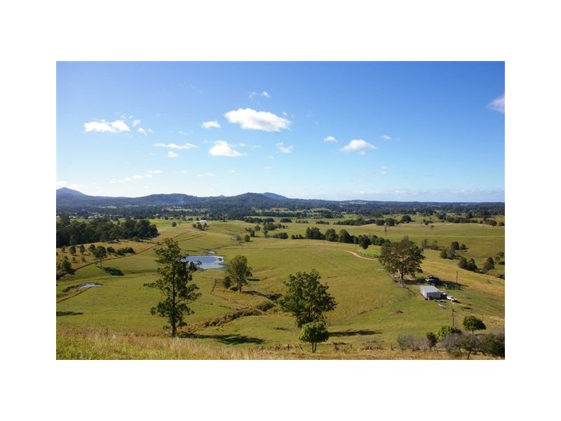 167 Gumbayngirr Road, Bowraville NSW 2449