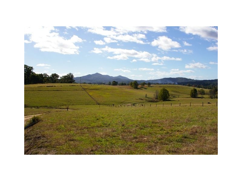 167 Gumbayngirr Road, Bowraville NSW 2449