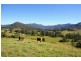69 McHugh’s Creek Road, Bowraville NSW 2449
