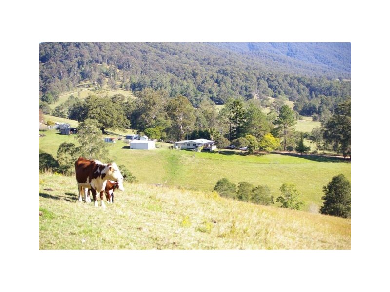 69 McHugh’s Creek Road, Bowraville NSW 2449