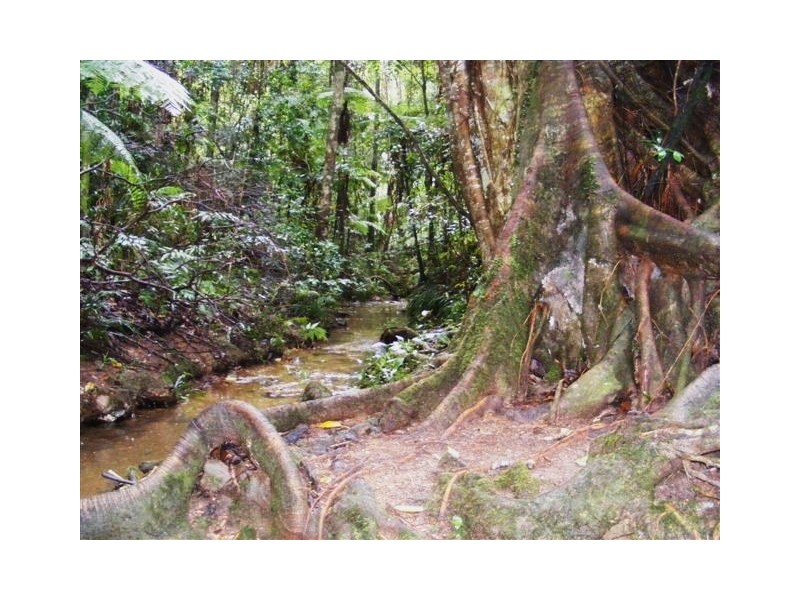 Lot 4,  Richards Road, Newee Creek NSW 2447