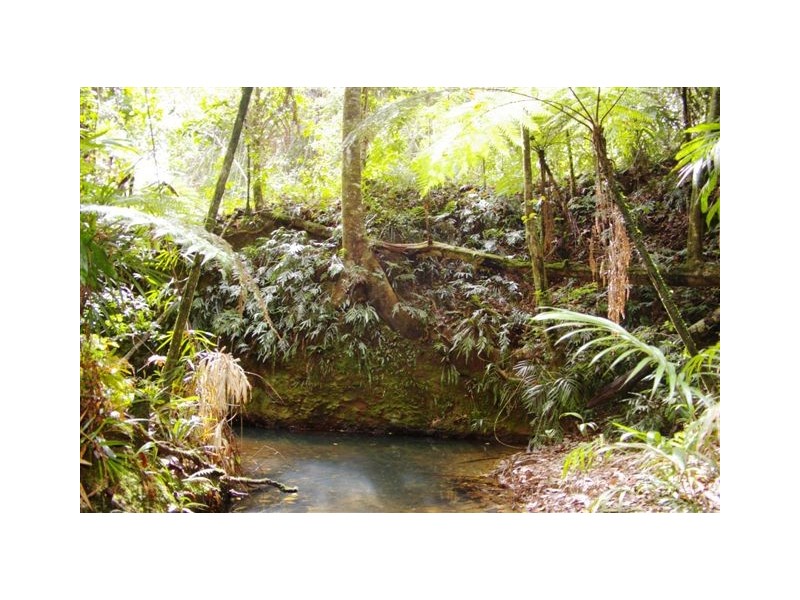 Lot 4,  Richards Road, Newee Creek NSW 2447