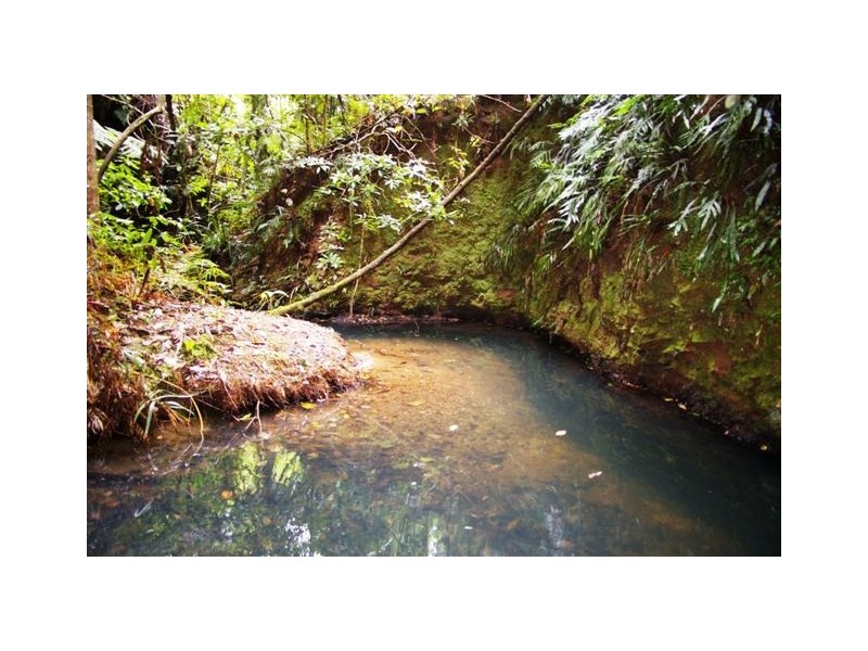 Lot 4,  Richards Road, Newee Creek NSW 2447