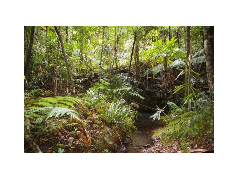 Lot 4,  Richards Road, Newee Creek NSW 2447