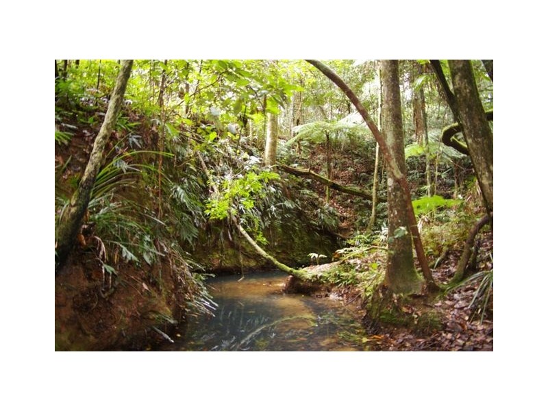 Lot 4,  Richards Road, Newee Creek NSW 2447