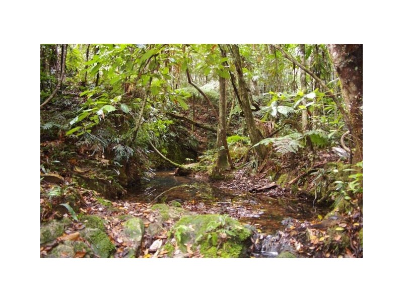 Lot 4,  Richards Road, Newee Creek NSW 2447