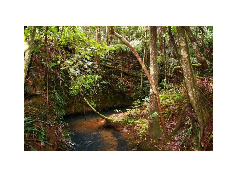 Lot 4,  Richards Road, Newee Creek NSW 2447