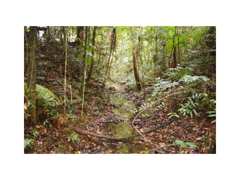 Lot 4,  Richards Road, Newee Creek NSW 2447
