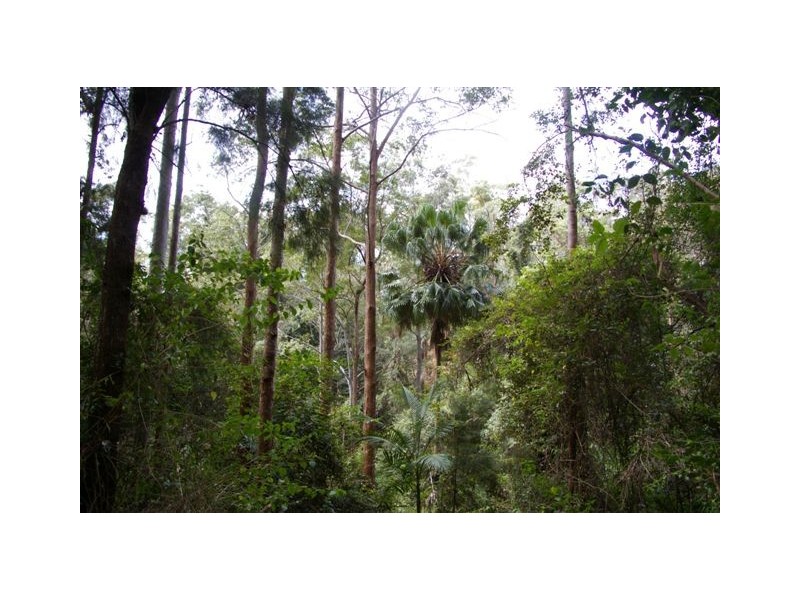 Lot 4,  Richards Road, Newee Creek NSW 2447