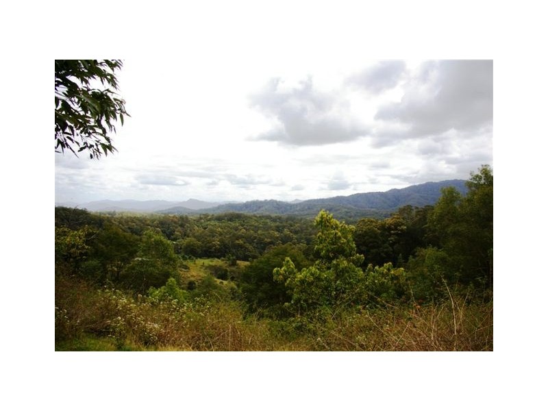 Lot 4,  Richards Road, Newee Creek NSW 2447