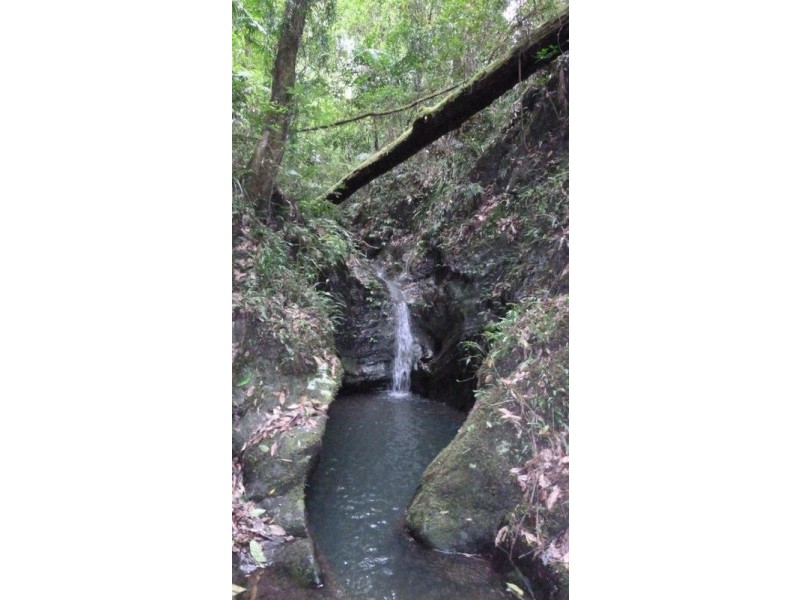 2814 North Arm Road, Girralong NSW 2449