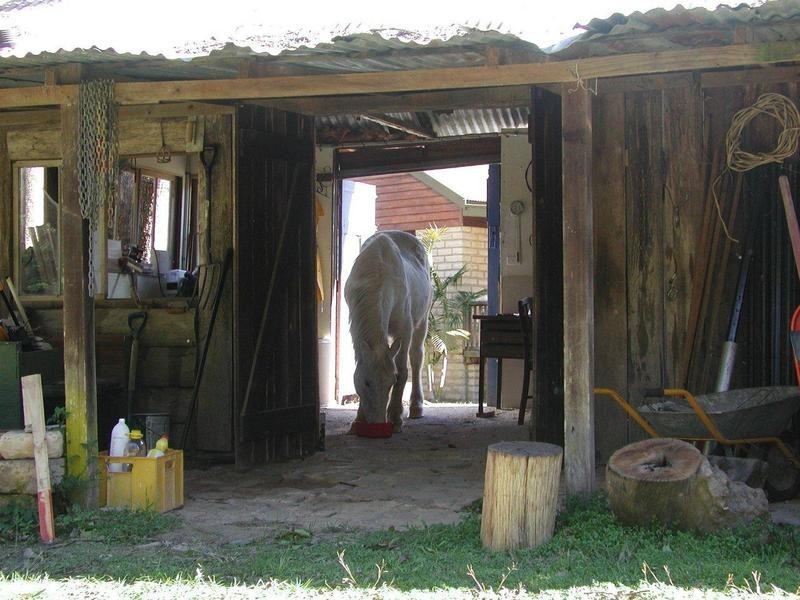 2814 North Arm Road, Girralong NSW 2449