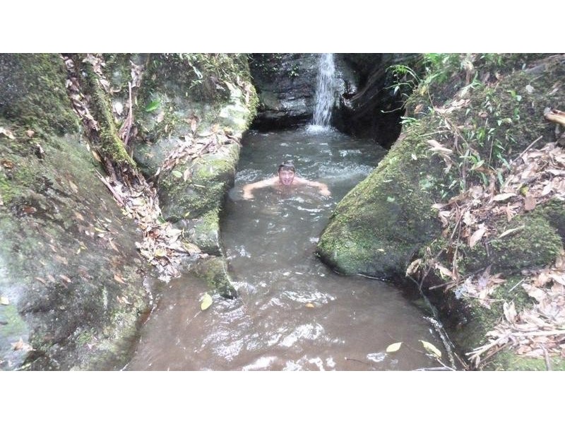 2814 North Arm Road, Girralong NSW 2449