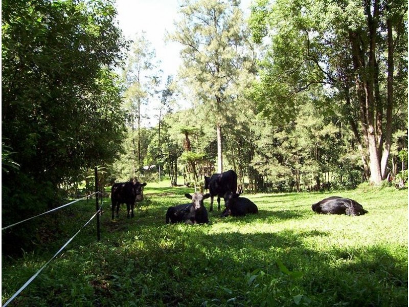 2814 North Arm Road, Girralong NSW 2449