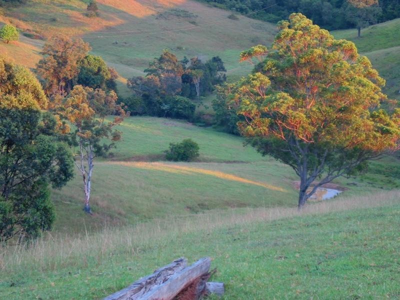 521 Greenhills Road, Taylors Arm NSW 2447