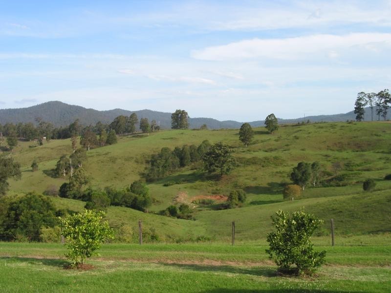 521 Greenhills Road, Taylors Arm NSW 2447