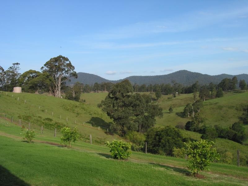 521 Greenhills Road, Taylors Arm NSW 2447
