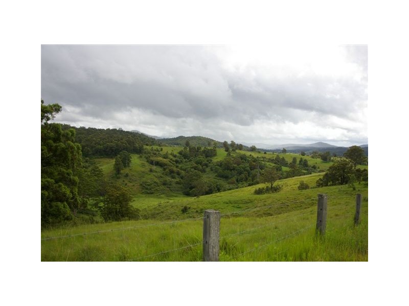 521 Greenhills Road, Taylors Arm NSW 2447