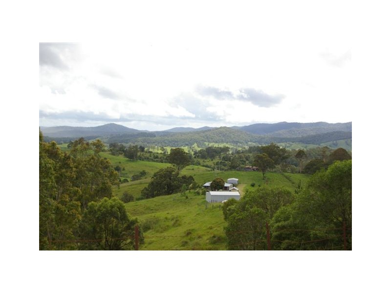521 Greenhills Road, Taylors Arm NSW 2447
