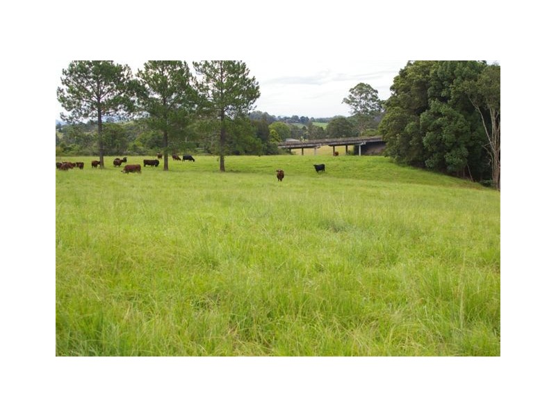 11 Albert Drive, Warrell Creek NSW 2447