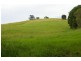 11 Albert Drive, Warrell Creek NSW 2447