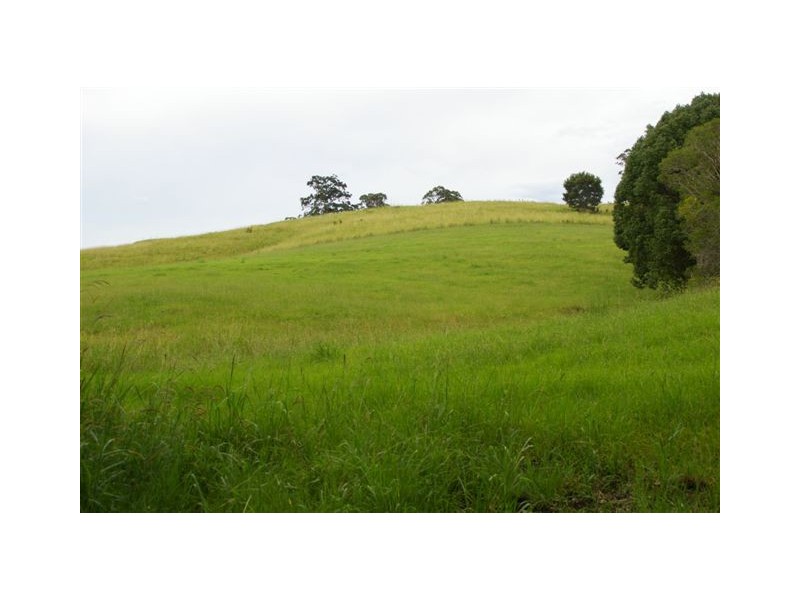 11 Albert Drive, Warrell Creek NSW 2447