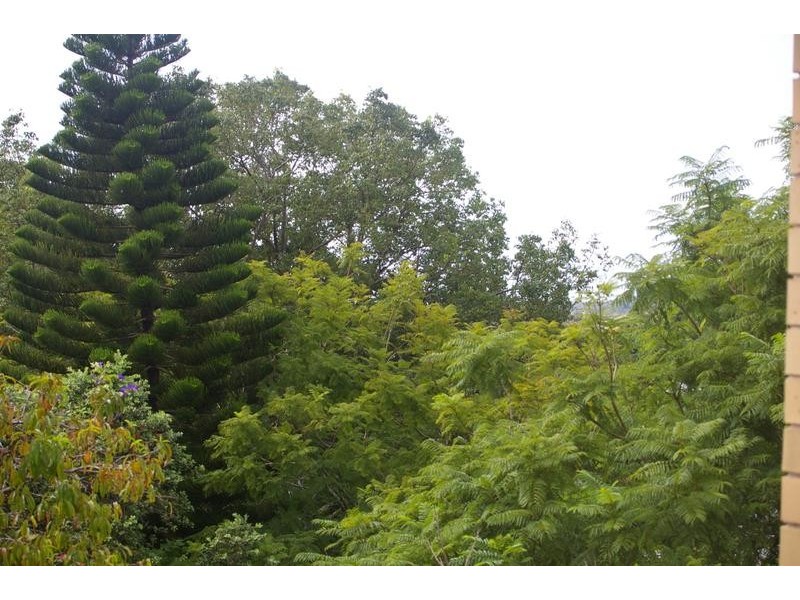 1/39 Mann Street, Nambucca Heads NSW 2448