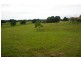 Congarinni NSW 2447
