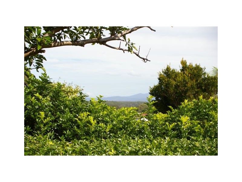 Nambucca Heads NSW 2448