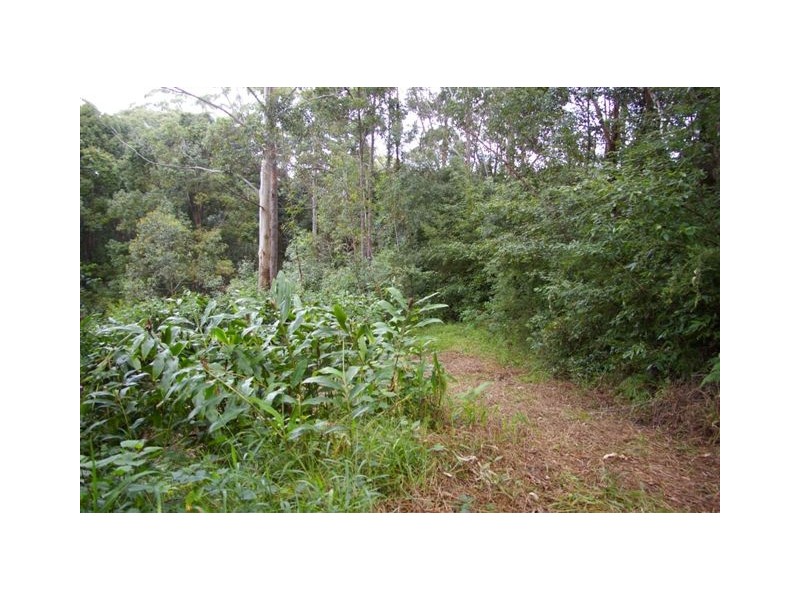 Nambucca Heads NSW 2448